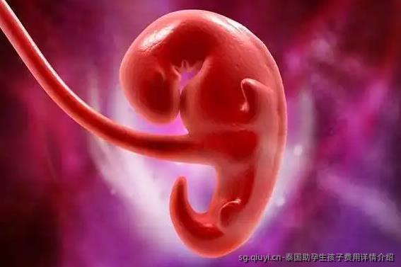 泰国助孕生孩子费用详情介绍