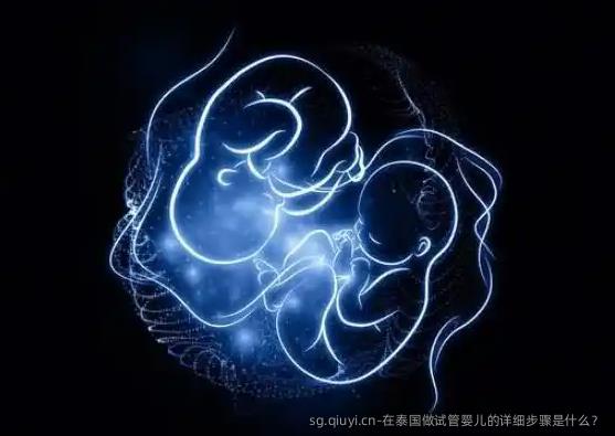 在泰国做试管婴儿的详细步骤是什么？