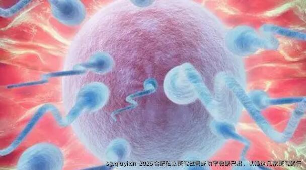 2025合肥私立医院试管成功率数据已出，认准这几家医院就行