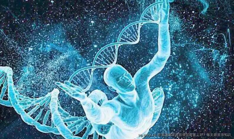 在泰国哪家医院做试管婴儿好？每天跟我涨知识
