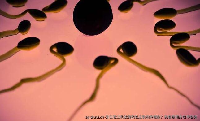 浙江做三代试管的私立机构有哪些？先看费用成功率数据