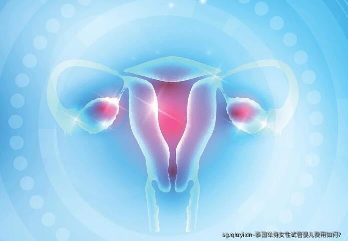 泰国单身女性试管婴儿费用如何？
