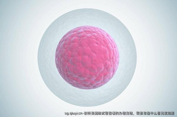 剖析美国做试管签证的办理流程，需要准备什么看完就知道