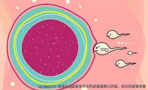 安徽合肥试管生子三代试管费用12万起，附三代试管收费