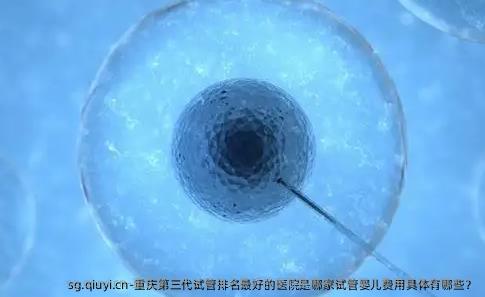 重庆第三代试管排名较好的医院是哪家试管婴儿费用具体有哪些？