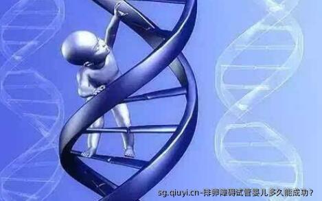 排卵障碍试管婴儿多久能成功？