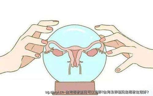 台湾哪家医院可以雪藏卵?台湾雪藏卵医院选哪家比较好？