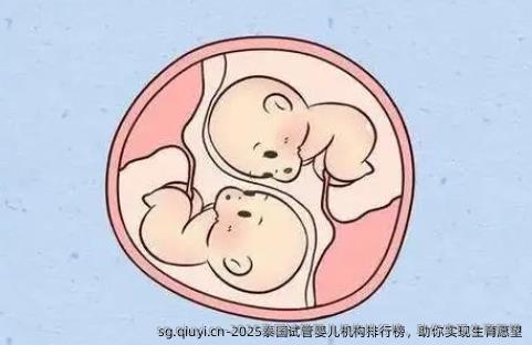 2025泰国试管婴儿机构排行榜，助你实现生育愿望