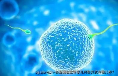 去泰国做试管婴儿付费方式有哪几种？
