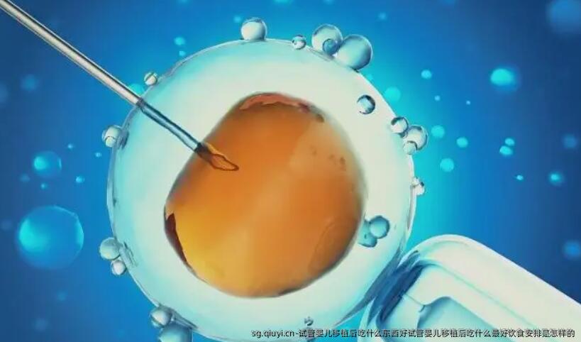 试管婴儿移植后吃什么东西好试管婴儿移植后吃什么较好饮食安排是怎样的