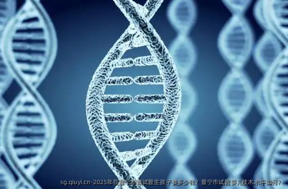 2025年在普宁市做试管生孩子要多少钱？普宁市试管婴儿技术水平如何？