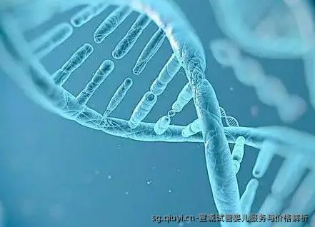 宣城试管婴儿服务与价格解析