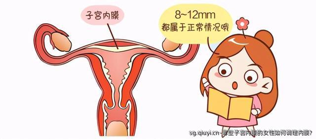 薄型子宫内膜的女性如何调理内膜?