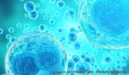 第三代试管婴儿原理、优势及对生育的重要意义