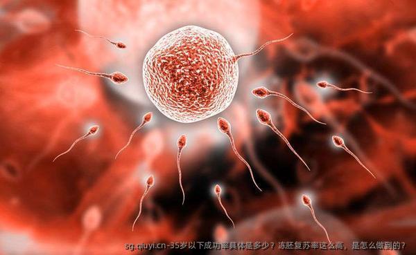 35岁以下成功率具体是多少？冻胚复苏率这么高，是怎么做到的？