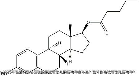 2025年在武冈市公立医院做试管婴儿的成功率高不高？如何提高试管婴儿成功率？