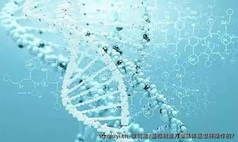 微刺激/温和刺激方案具体是怎样操作的?