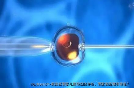 泰国试管婴儿医院综合评价，哪家医院服务较佳？ 