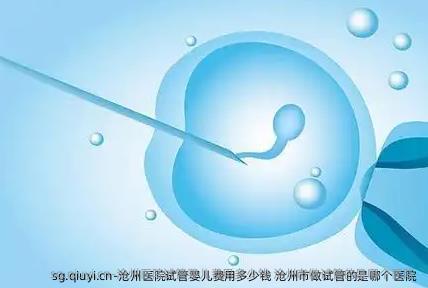 沧州医院试管婴儿费用多少钱 沧州市做试管的是哪个医院 