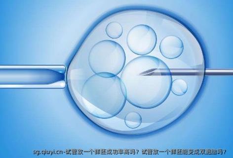 试管放一个鲜胚成功率高吗？试管放一个鲜胚能变成双胞胎吗？