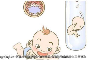 多囊加弱精试管成功率高吗,多囊和弱精能做人工授精吗 