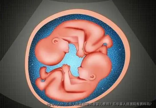 五华人民医院做试管婴儿费用？五华县人民医院有男科吗？