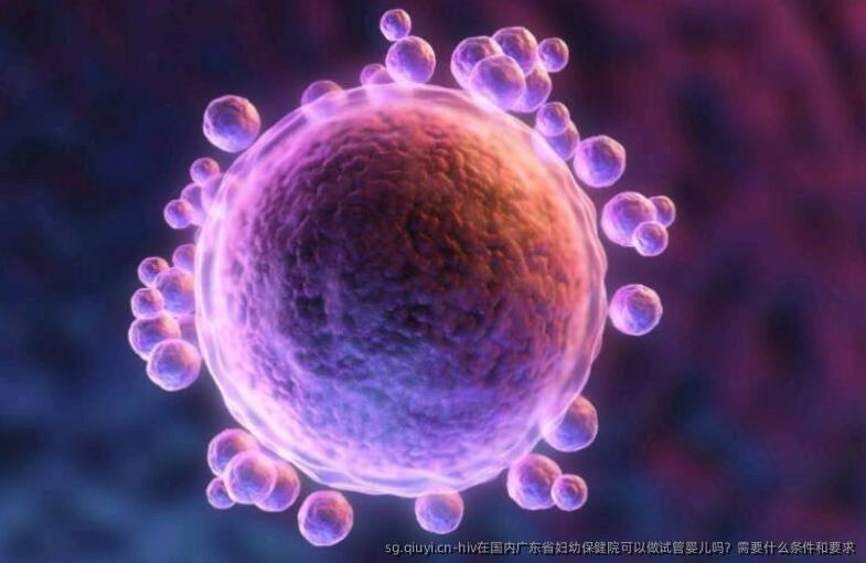 hiv在国内广东省妇幼保健院可以做试管婴儿吗？需要什么条件和要求