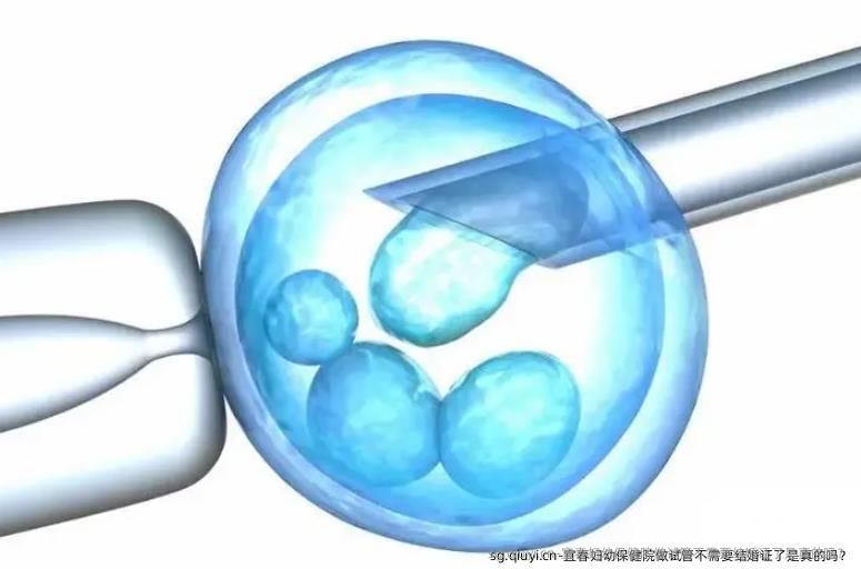 宜春妇幼保健院做试管不需要结婚证了是真的吗？