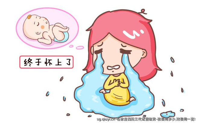石家庄四院三代试管做男-孩费用多少,附费用一览!