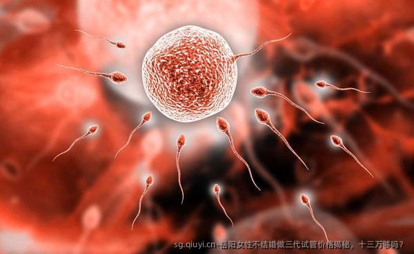 岳阳女性不结婚做三代试管价格揭秘，十三万够吗？