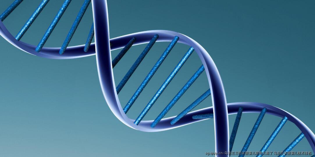 乌克兰三代试管婴儿花费太高了 乌克兰试管婴儿技术排名 