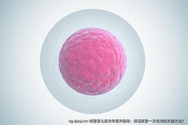 试管婴儿成功率提升指南：保证试管初次成功的关键方法？