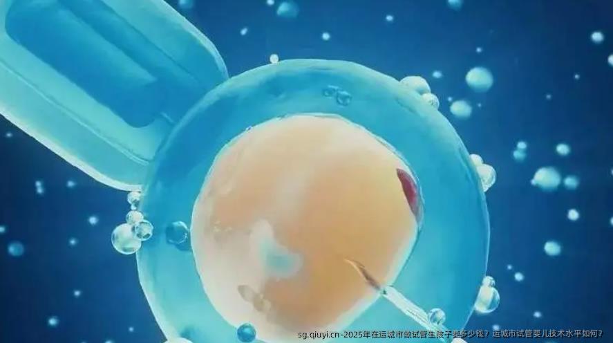 2025年在运城市做试管生孩子要多少钱？运城市试管婴儿技术水平如何？