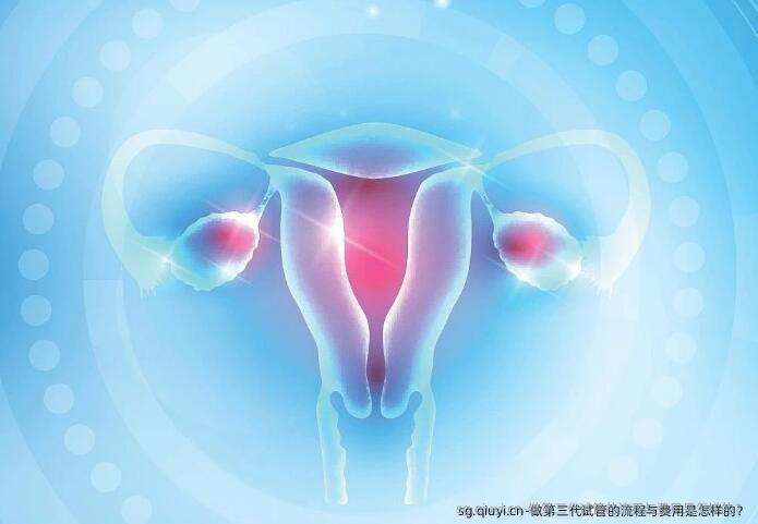 做第三代试管的流程与费用是怎样的？