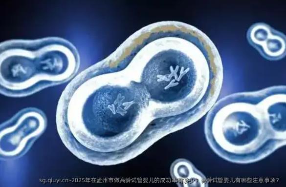 2025年在孟州市做高龄试管婴儿的成功率有多少？高龄试管婴儿有哪些注意事项？