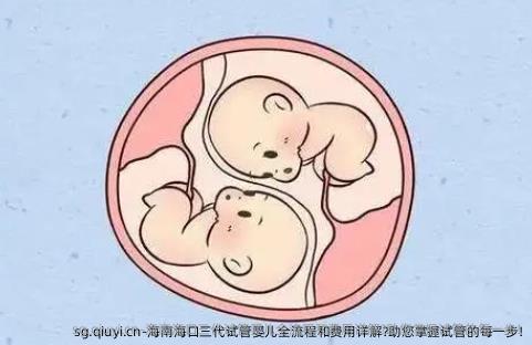 海南海口三代试管婴儿全流程和费用详解?助您掌握试管的每一步!