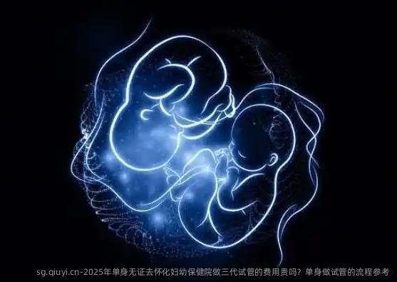 2025年单身无证去怀化妇幼保健院做三代试管的费用贵吗？单身做试管的流程参考