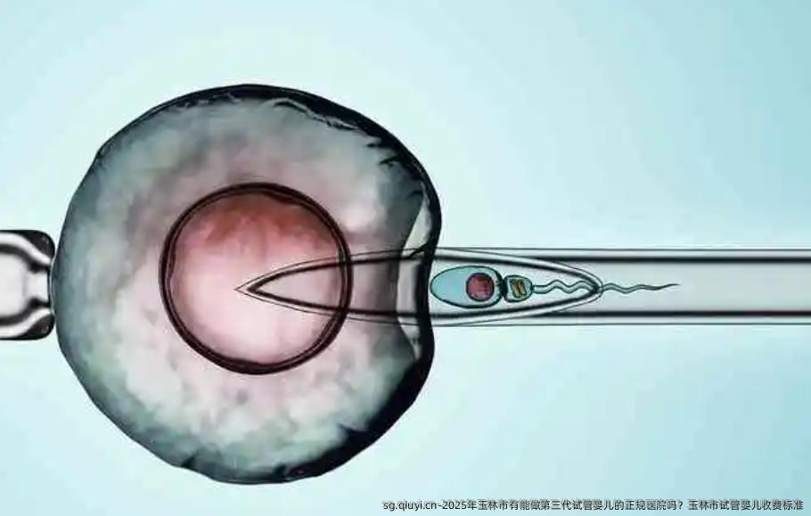 2025年玉林市有能做第三代试管婴儿的正规医院吗？玉林市试管婴儿收费标准