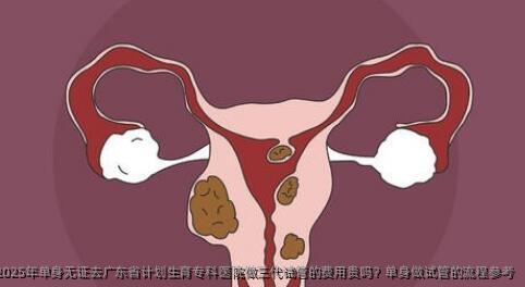 2025年单身无证去广东省计划生育专科医院做三代试管的费用贵吗？单身做试管的流程参考