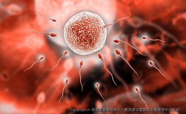 昆明试管费用多少？附昆明试管医院生殖医学中心介绍！