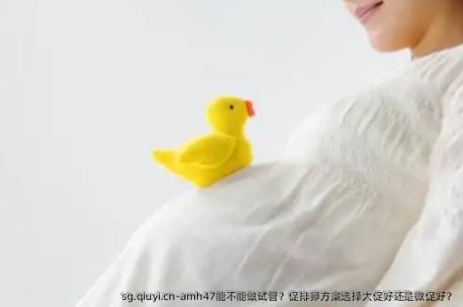amh47能不能做试管？促排卵方案选择大促好还是微促好？