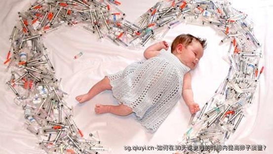 如何在30天或更短的时间内提高卵子质量？