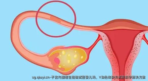 子宫内膜增生能做试管婴儿吗，Y染色体缺失试管助孕解决方案