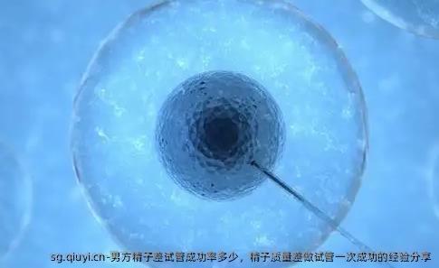 男方精子差试管成功率多少，精子质量差做试管初次成功的经验分享