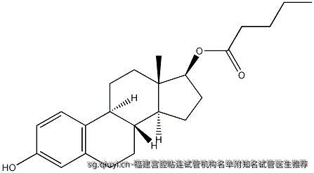 福建宫腔粘连试管机构名单附优秀试管医生推荐