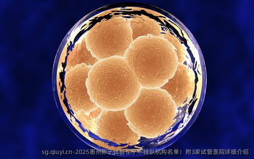 2025惠州卵子试管生子不排队机构名单！附3家试管医院详细介绍