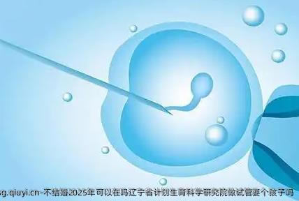不结婚2025年可以在吗辽宁省计划生育科学研究院做试管要个孩子吗