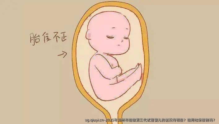 2025年湖州市能做第三代试管婴儿的医院有哪些？能用社保报销吗？