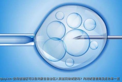 没有结婚证可以在内蒙古自治区人民医院做试管吗？内附试管费用及成功率一览