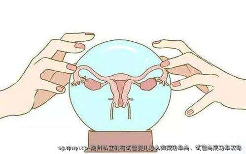 潮州私立机构试管婴儿怎么做成功率高，试管高成功率攻略